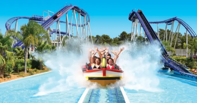 Estes são os melhores parques aquáticos para um verão divertido em família